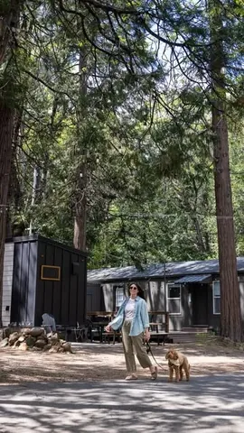 hellorubydoodle Instagram post about Dog friendly Shasta Cascade travel