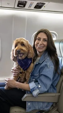 hellorubydoodle Instagram post about Dog friendly air travel