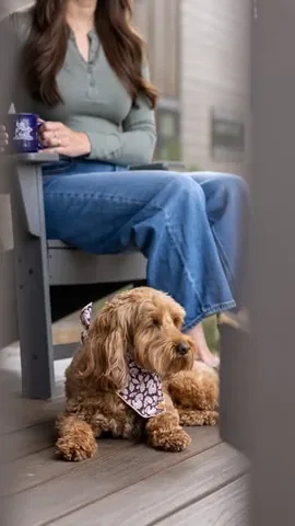 hellorubydoodle Instagram post about Dog friendly Mammoth lodging