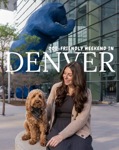 hellorubydoodle Instagram post about Dog friendly Denver travel