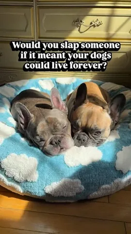 henryandpenny Instagram post about Interactive humor