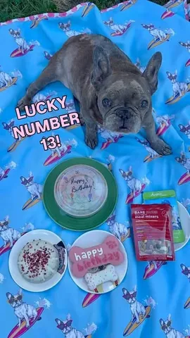 Henry & Penny Instagram post thumbnail