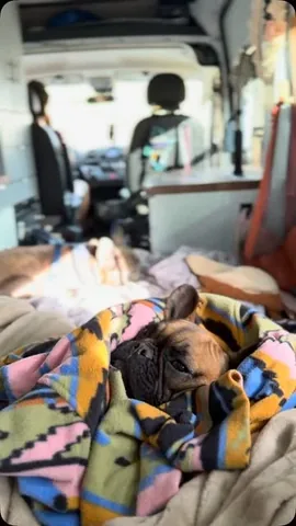 Henry & Penny Instagram post thumbnail