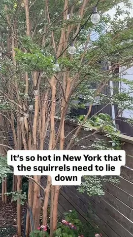 heyfeifer Instagram post about Hot weather
