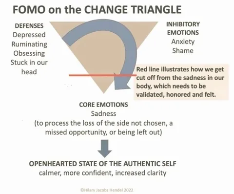 hilaryjacobshendel Instagram post about FOMO and emotional processing