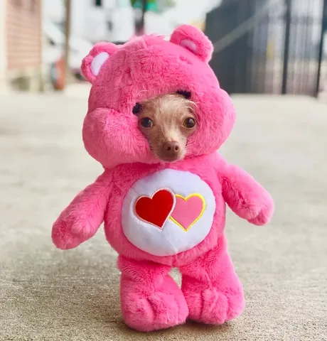 hollys_amazing_journey Instagram post about Acts of kindness
