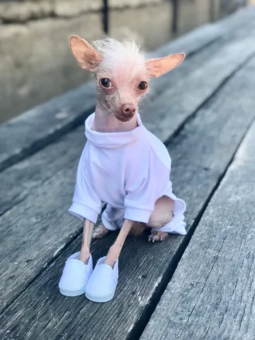 hollys_amazing_journey Instagram post about Fashion humor