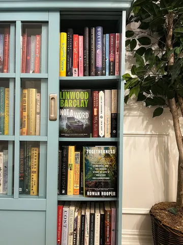 hotcocoareads Instagram post about Home bookshelves and book recommendations
