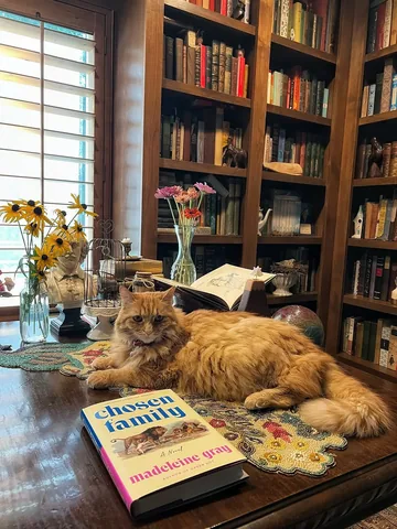 hotcocoareads Instagram post about Cat care and reading