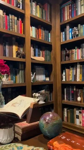 hotcocoareads Instagram post about Farewell to a cat and current reading