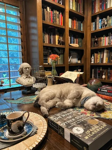 hotcocoareads Instagram post about The Warmth of Other Suns