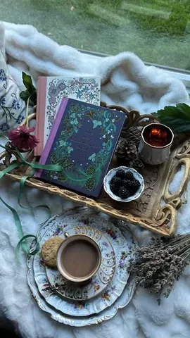 hotcocoareads Instagram post about Cozy seasonal reading