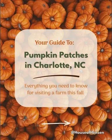 houseofhensen Instagram post about Charlotte pumpkin farms