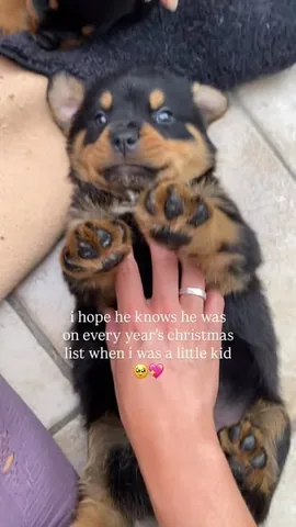 hudsonlerottie Instagram post about Dog related milestone