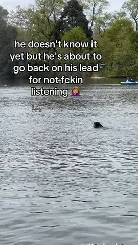 hudsonlerottie Instagram post about Rottweiler behavior