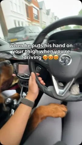 hudsonlerottie Instagram post about Rottweiler humor