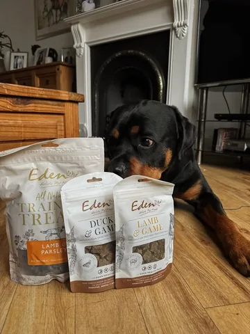 hudsonlerottie Instagram post about Dog treats