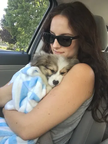 hudsonthefluffycorgi Instagram post about Gotcha day anniversary