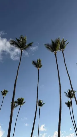 iamlena Instagram post about Vacation escape
