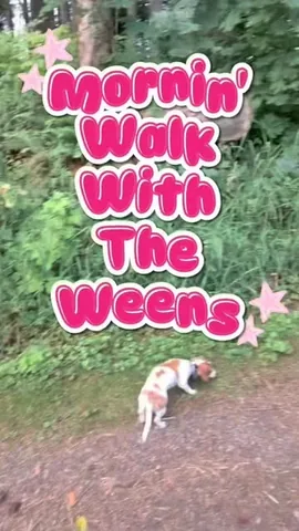ifbbmissytruscott Instagram post about Daily life with pets