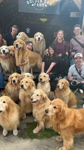 ijustine Instagram post about Sony Kando Trip puppy activity
