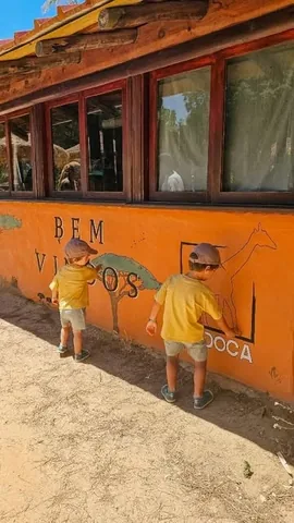 inoisemviagem Instagram post about Badoca Safari Park