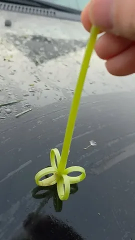 instagram Instagram post about Nature phenomenon
