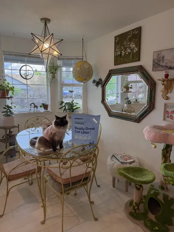 isle7crossing Instagram post about Cat litter review