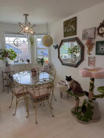 isle7crossing Instagram post about Cat birthday