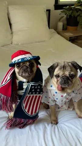 itsdougthepug Instagram post about World Cup support