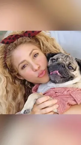 itsdougthepug Instagram post about Doug the Pug celebrity sitcom