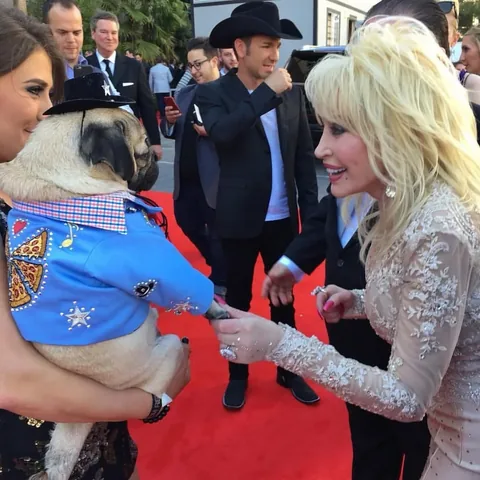 itsdougthepug Instagram post about Tribute to Dolly Parton