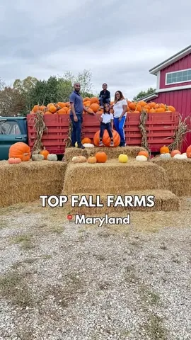 itssummerssomewhere Instagram post about Maryland fall farms