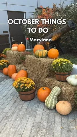 Lisa Summers |📍Baltimore / DMV Things To Do |  Family Travel Instagram post thumbnail