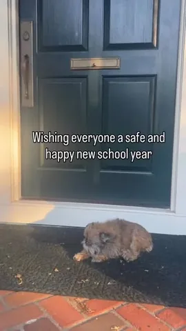 ittystagram Instagram post about School year memories