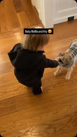 ittystagram Instagram post about Pet friendship