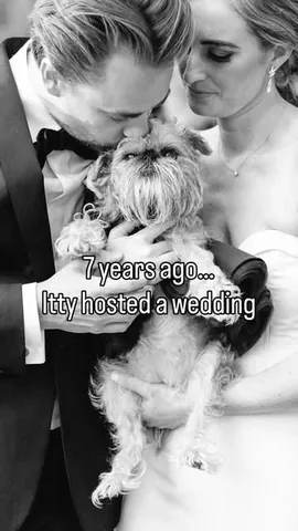 ittystagram Instagram post about Wedding memories