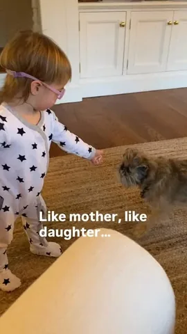 ittystagram Instagram post about Pet development