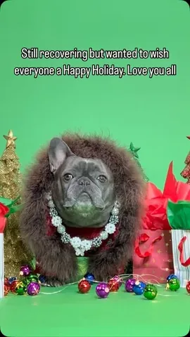 izzythe.frenchie Instagram post about Personal recovery update
