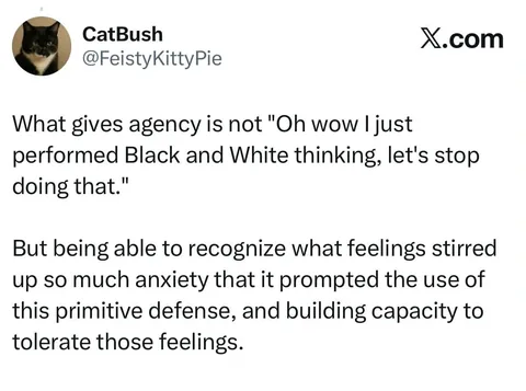 jadementalhealthcoach Instagram post about BPD community