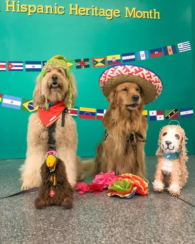 jaggerdwagger Instagram post about Therapy dogs and cultural heritage