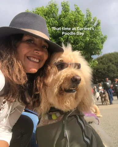 jaggerdwagger Instagram post about Dog event memory
