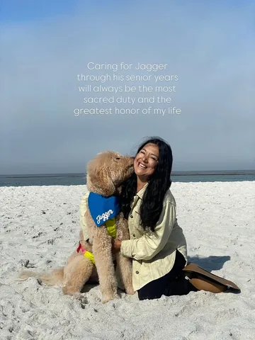 jaggerdwagger Instagram post about Senior dog care and grief