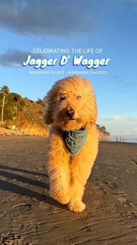 jaggerdwagger Instagram post about Pet memorial and grief