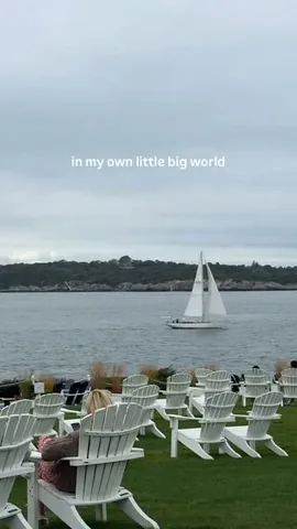 jaggerdwagger Instagram post about Peaceful dog travel moment