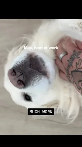 jakebeau_ Instagram post about AI app building ambition