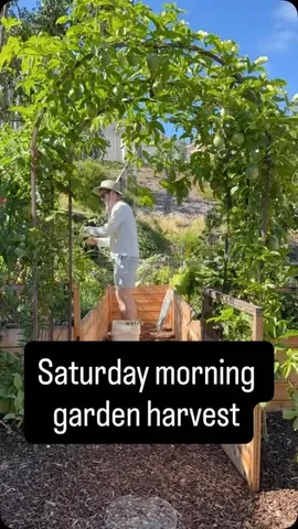 jakegoodmanmd Instagram post about Gardening harvest