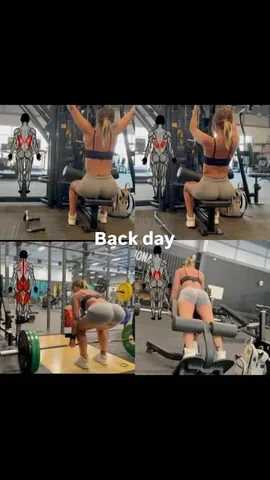jamieleepurnell Instagram post about Efficient back workout