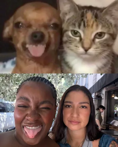 javiera Instagram post about Creator collaboration