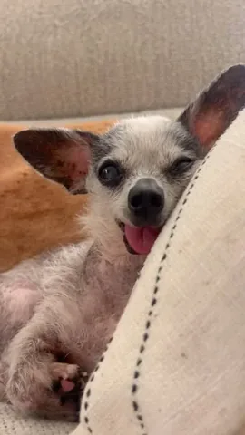jemandthemisfits Instagram post about Rescue anniversary